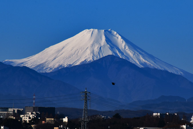 元旦富士　小金井市より
